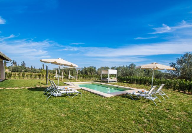 Country house in Sa Pobla - High quality finca with pool Son Vivot in Mallorca