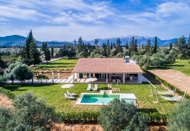 Country house in Sa Pobla - High quality finca with pool Son Vivot in Mallorca