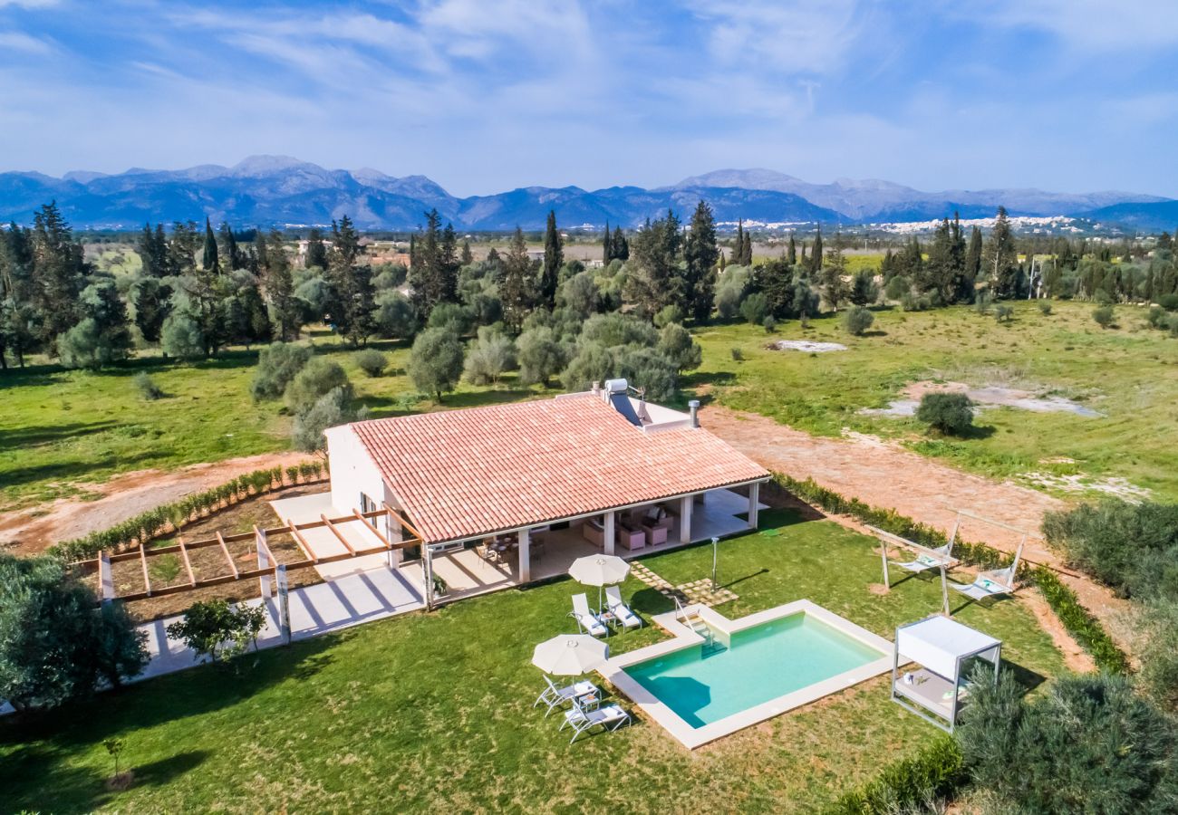 Country house in Sa Pobla - High quality finca with pool Son Vivot in Mallorca