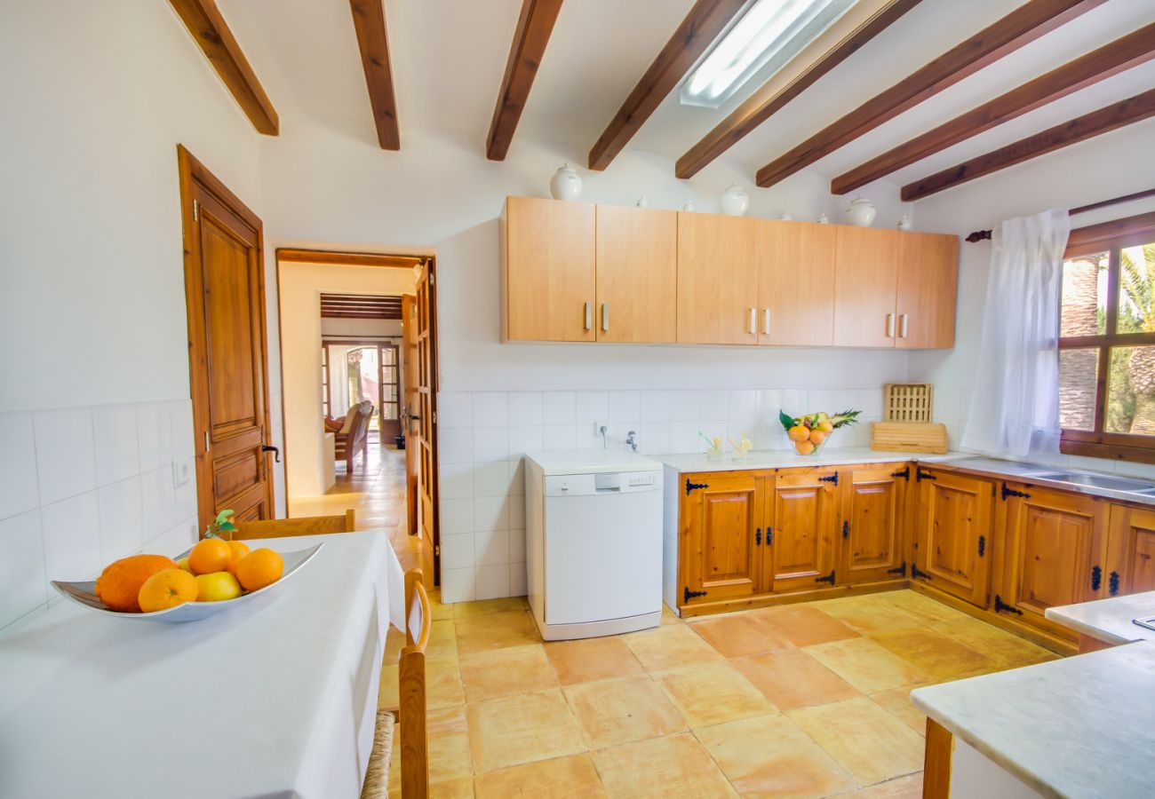 Country house in Alcudia - Big Finca Can Comaro with pool in Alcudia