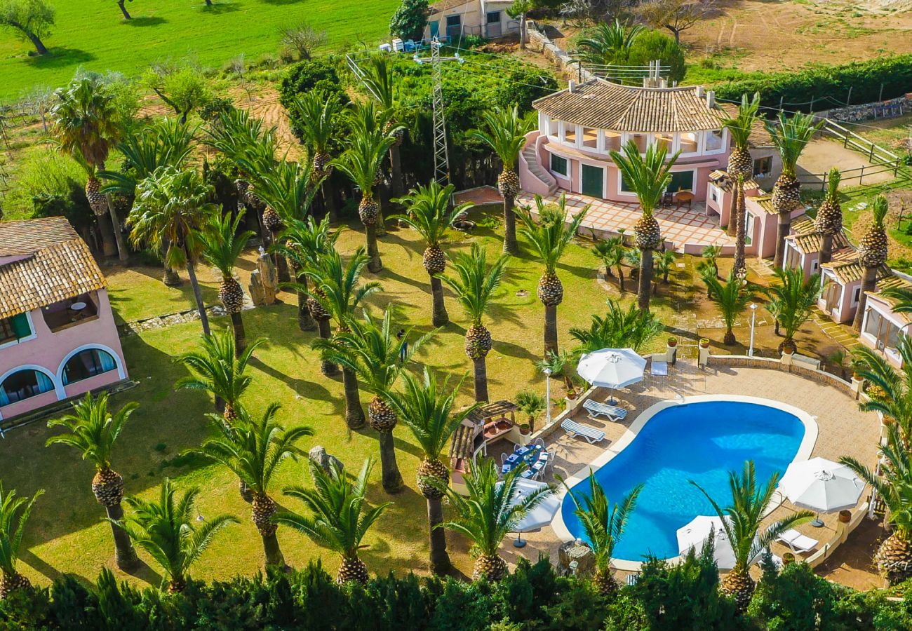 Vacations in Alcudia in finca with pool.
