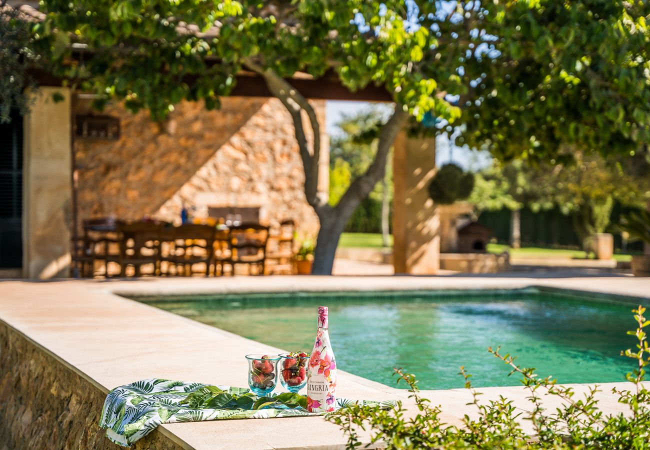 Country house in Binissalem - ☼Mallorcan environment and culture with private swimming pool.
