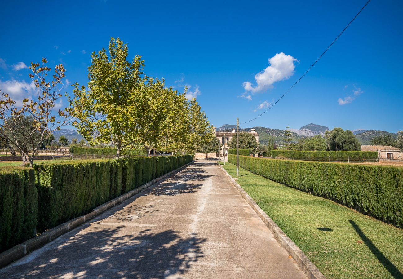 Country house in Binissalem - ☼Mallorcan environment and culture with private swimming pool.