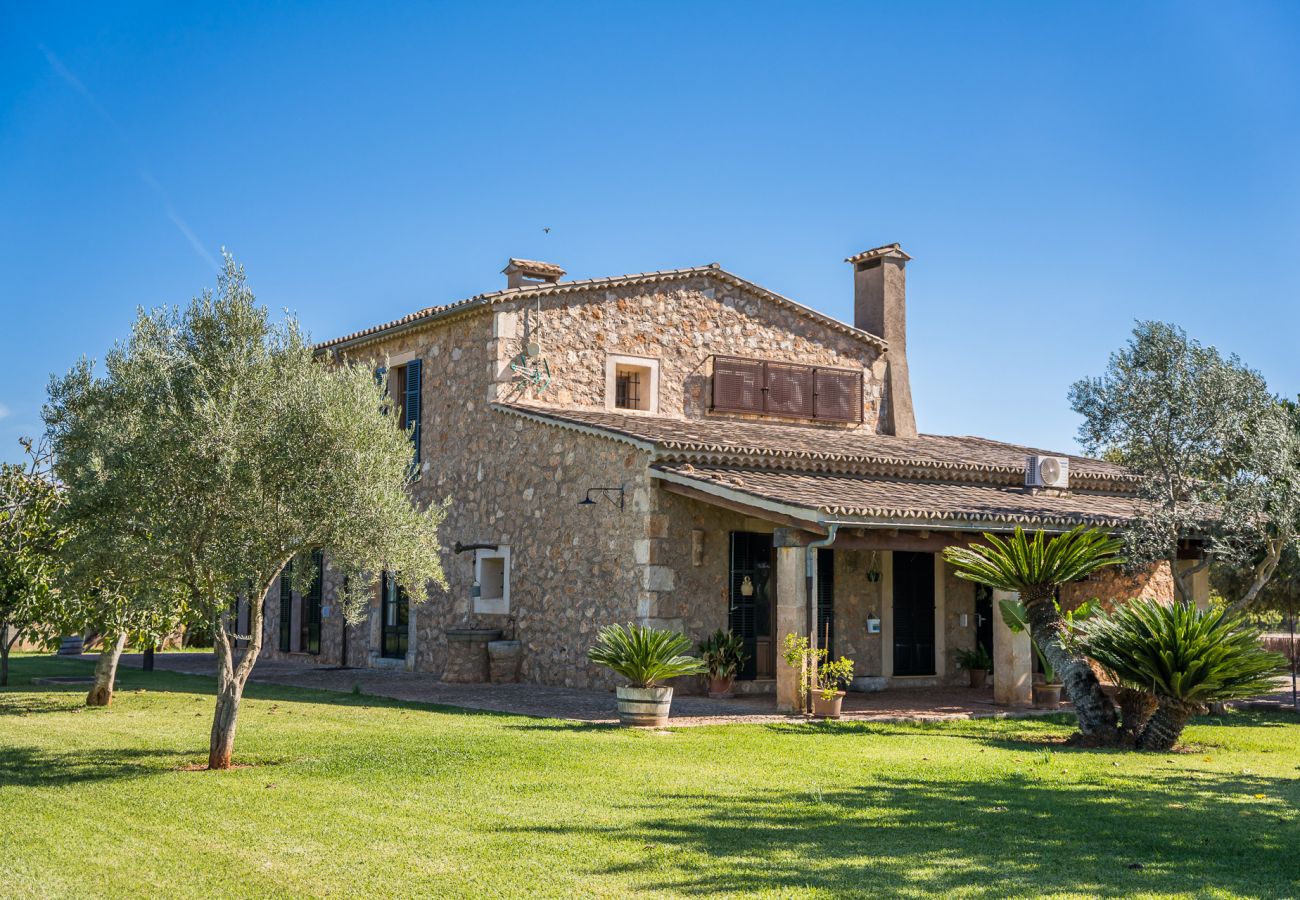 Country house in Binissalem - ☼Mallorcan environment and culture with private swimming pool.