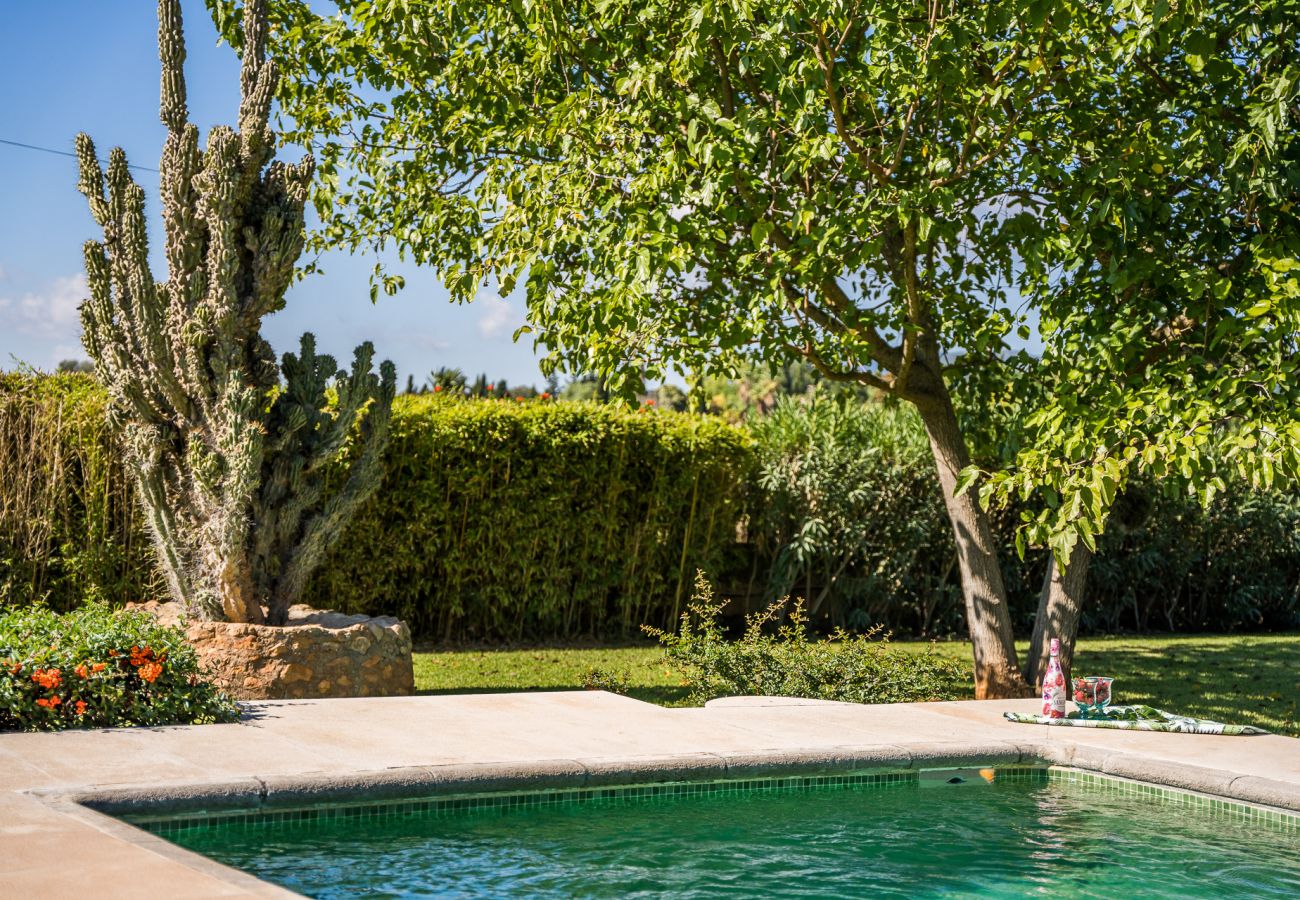 Country house in Binissalem - ☼Mallorcan environment and culture with private swimming pool.
