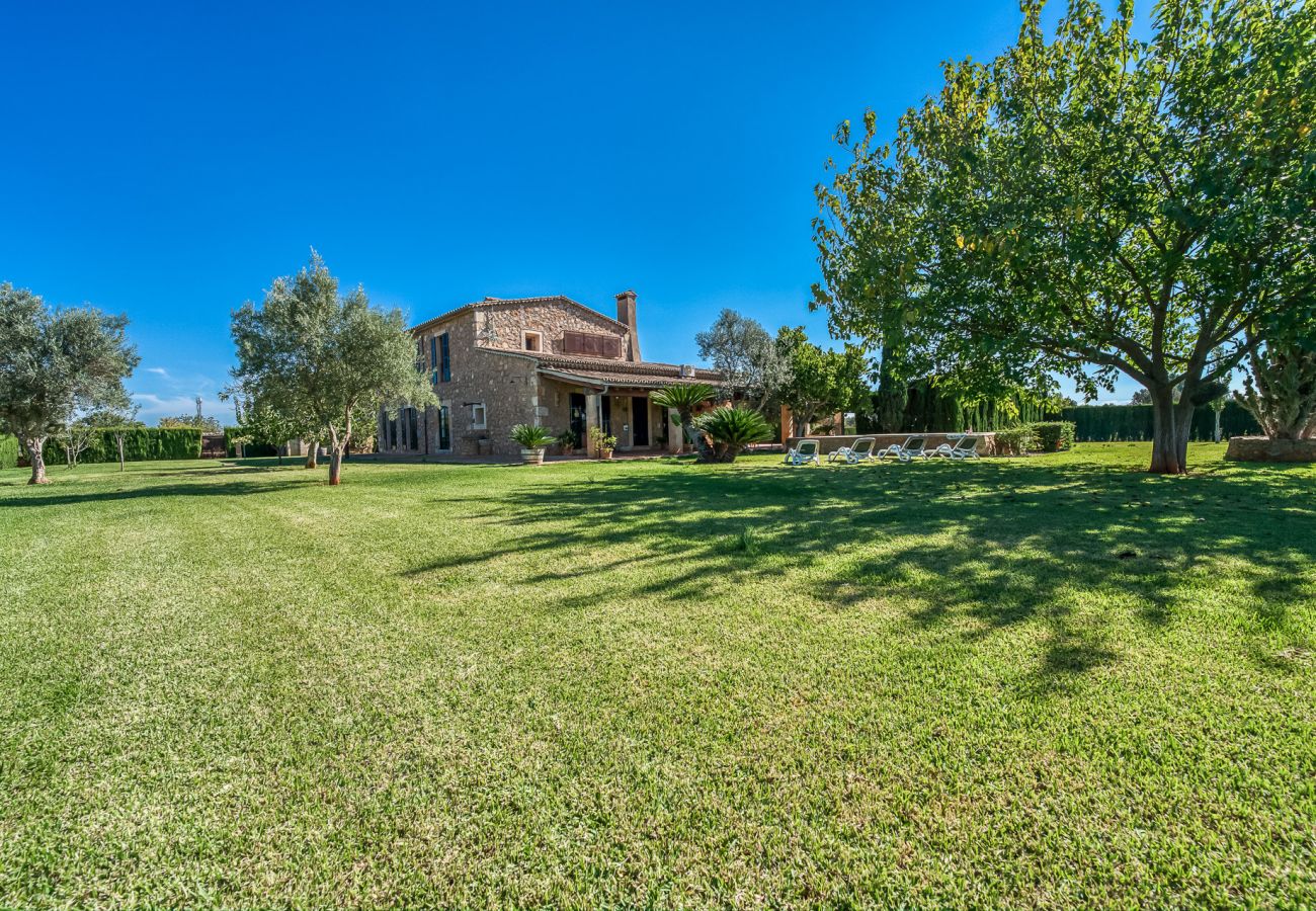 Country house in Binissalem - ☼Mallorcan environment and culture with private swimming pool.