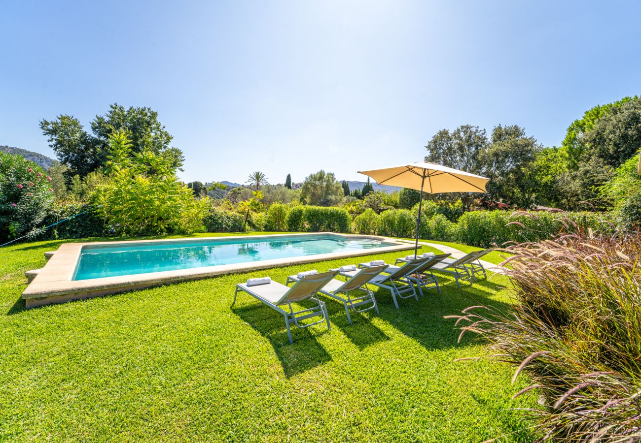Country house in Pollensa - Villa Navarro with swimming pool in Pollensa