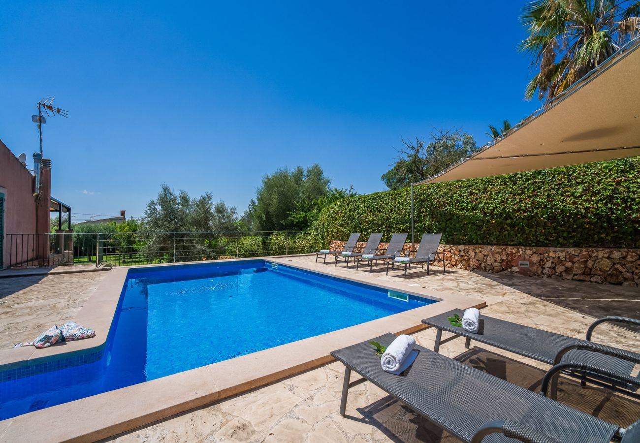 Large saltwater pool: your refreshing escape in Mallorca
