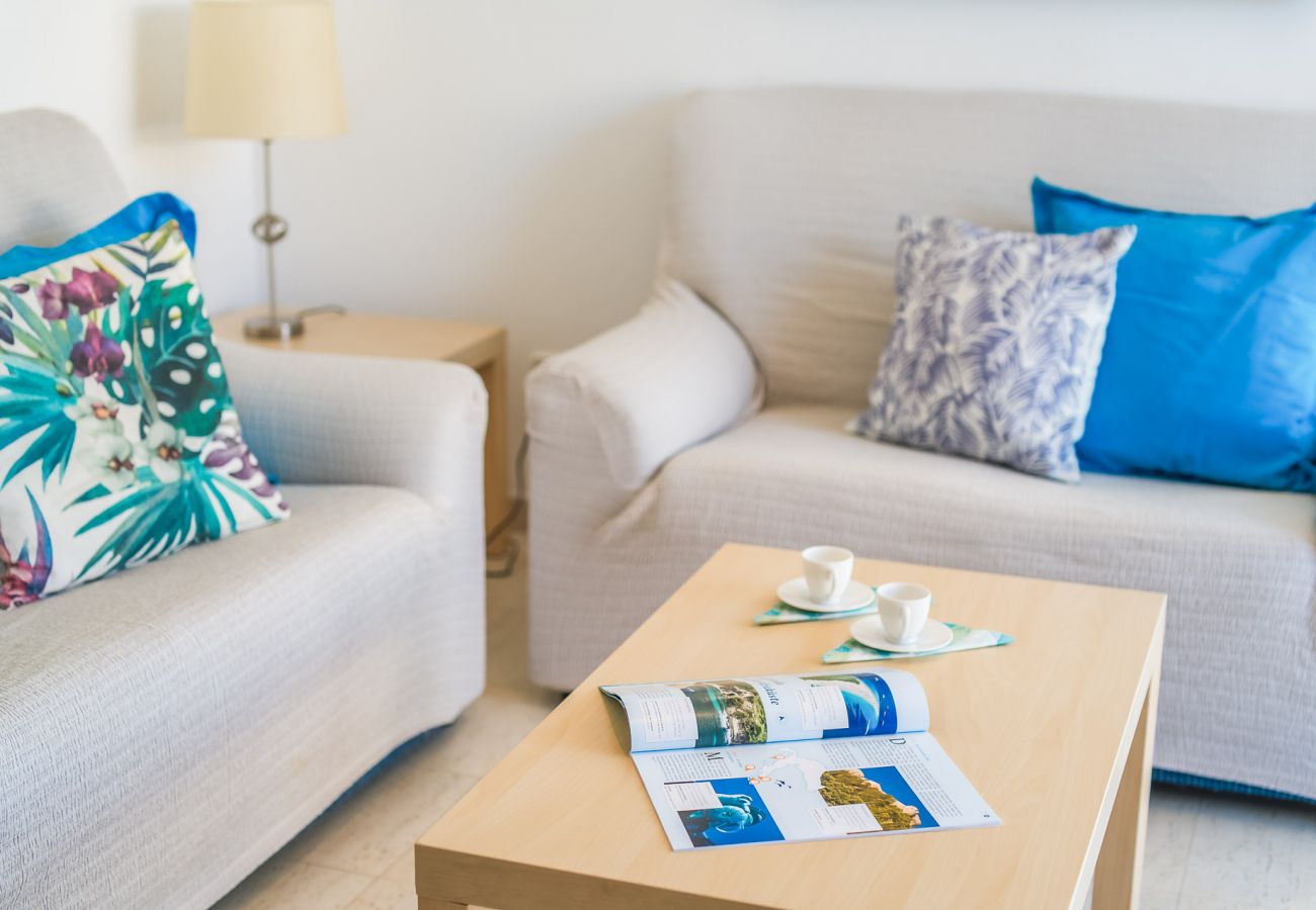 Apartment in Can Picafort - Dragonera