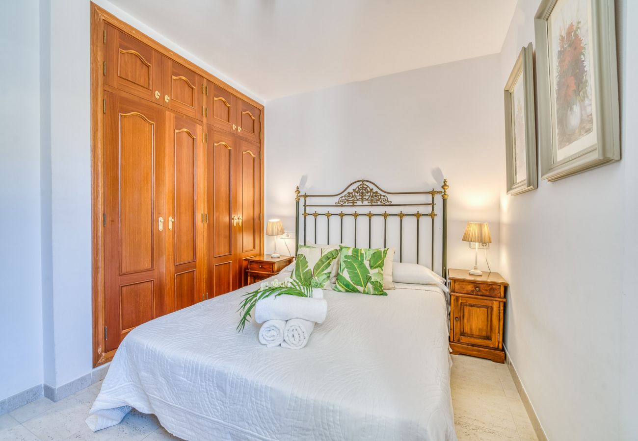 Apartment in Can Picafort - Dragonera