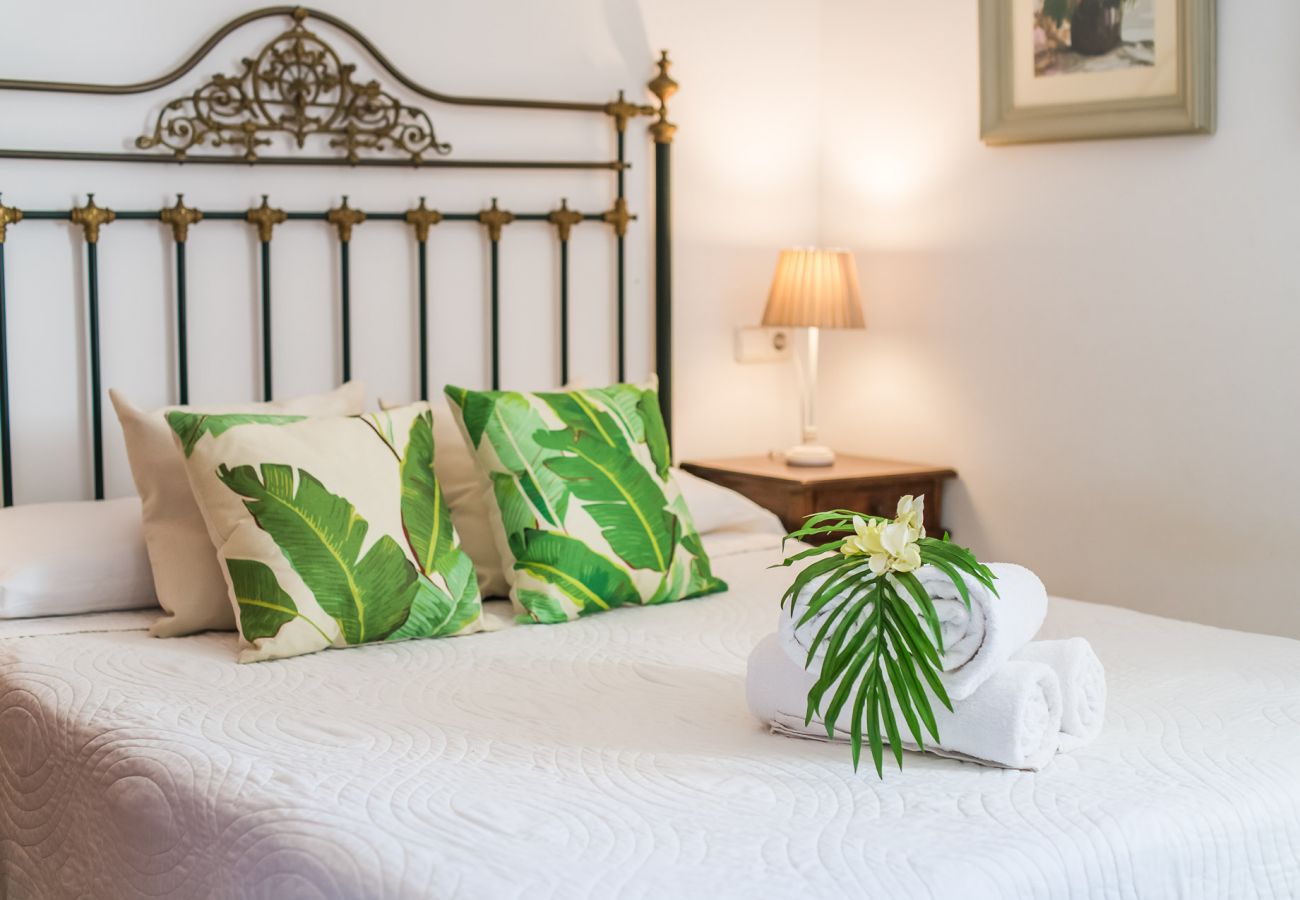 Apartment in Can Picafort - Dragonera