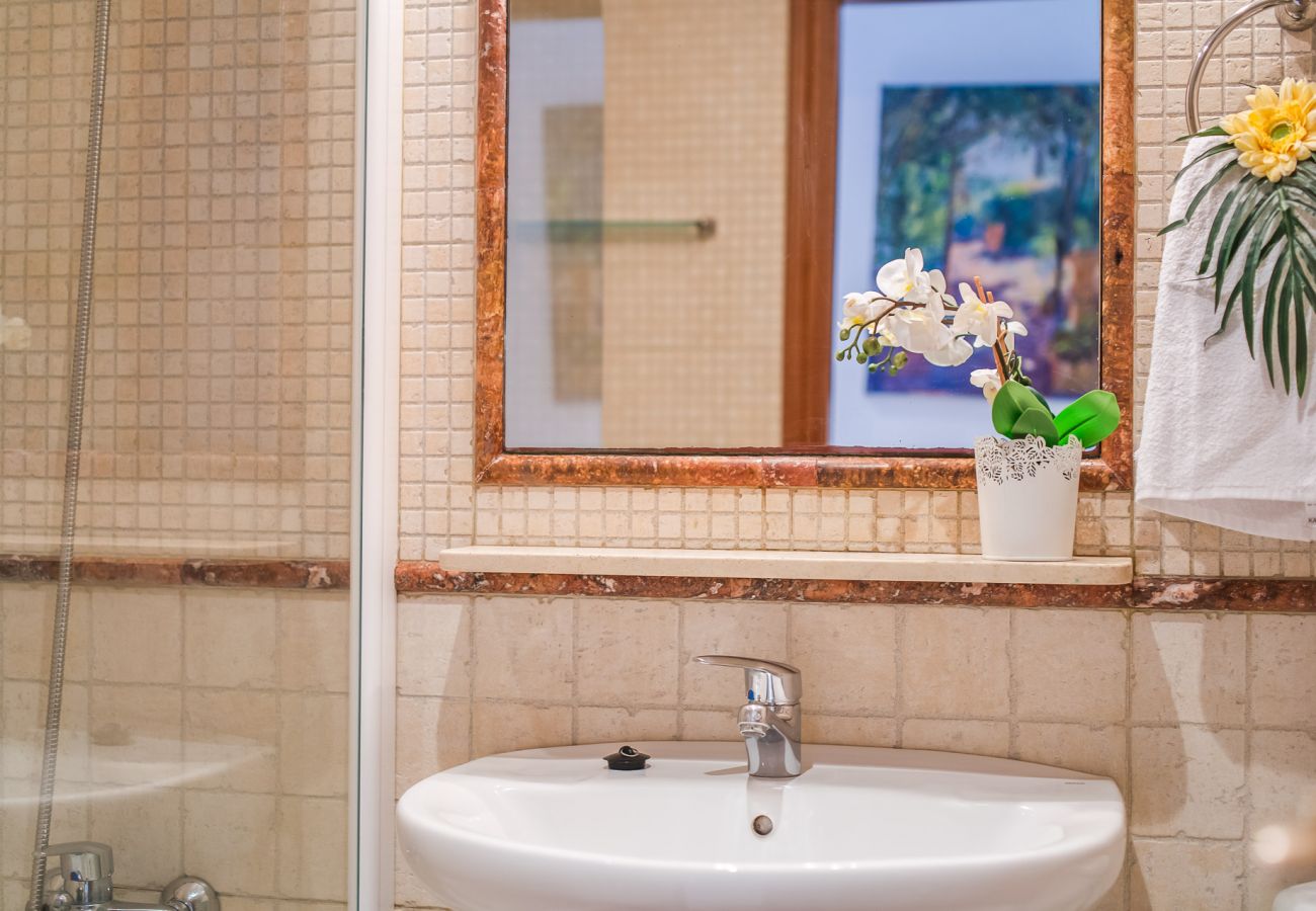 Apartment in Can Picafort - Dragonera