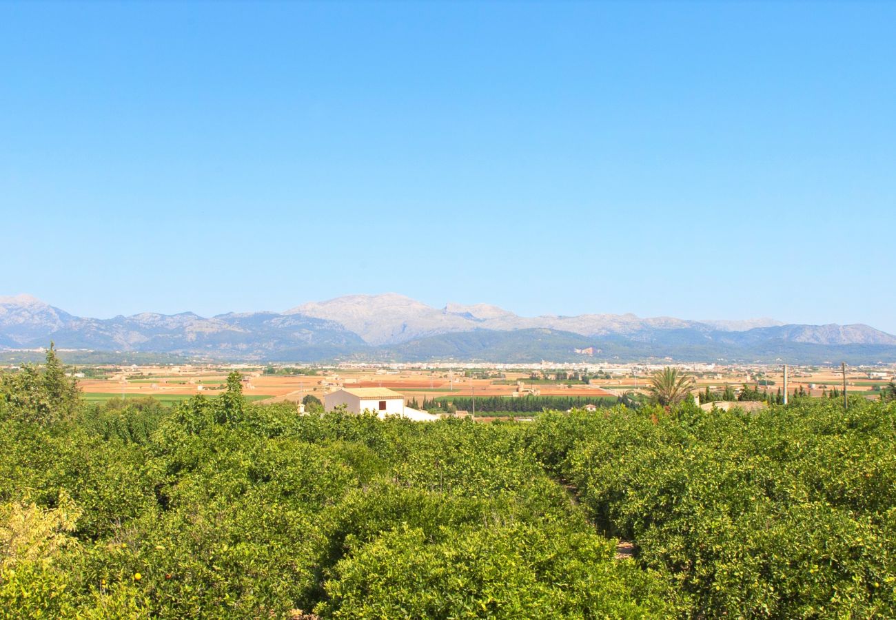 Country house in Muro - Can Rius