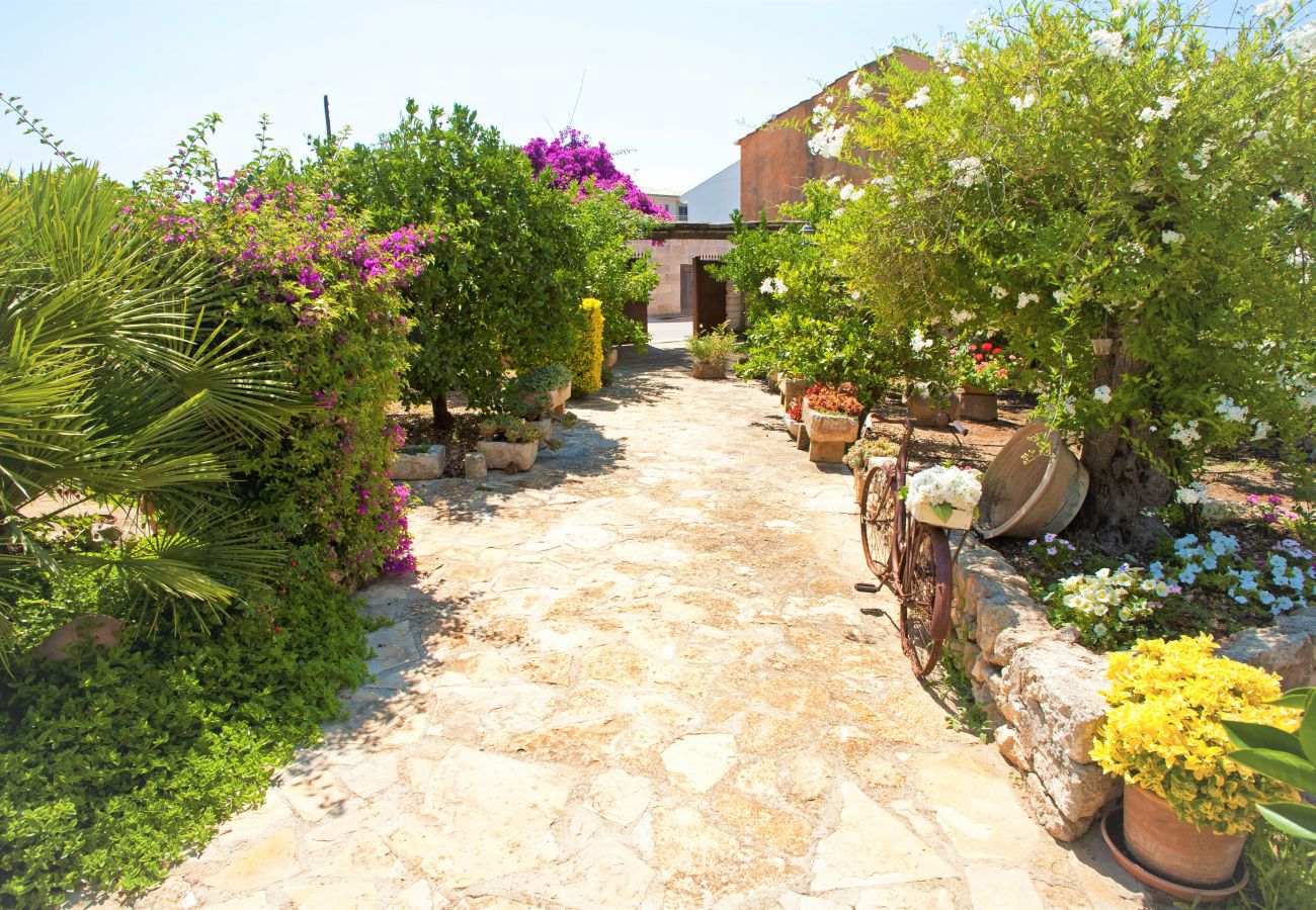 Country house in Muro - Can Rius