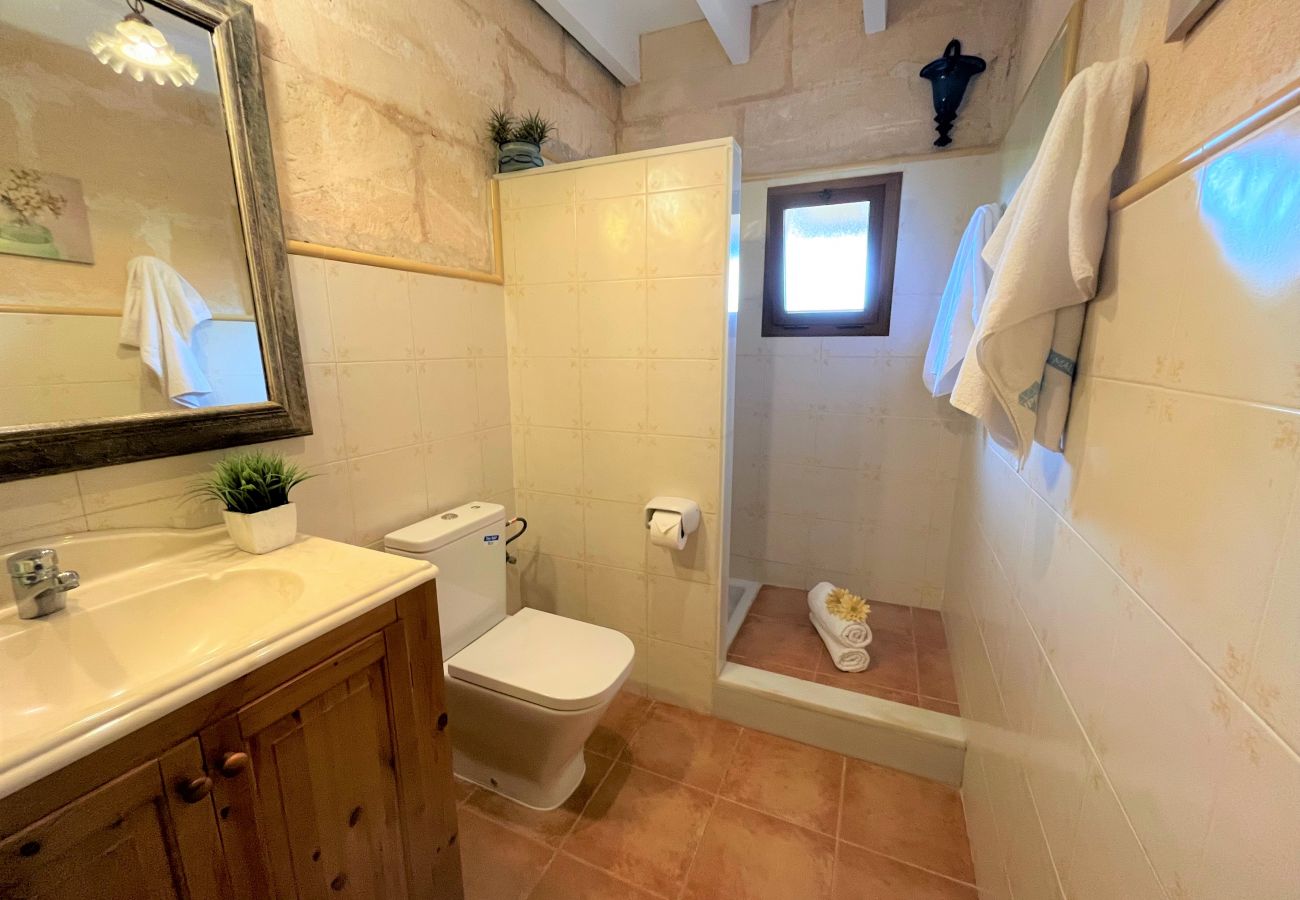 Country house in Muro - Can Rius