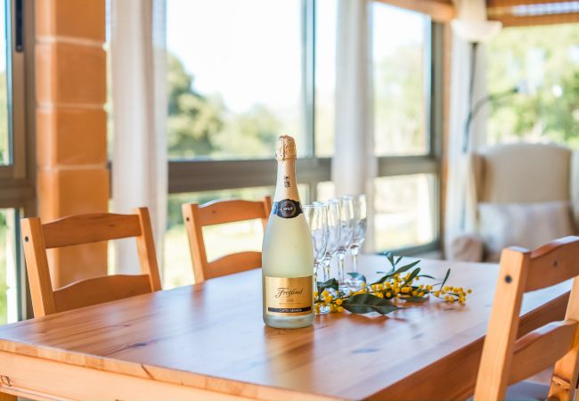 Country house in Arta - Rural finca pool Es Sementaret in Majorca Country house in Arta - Rural finca pool Es Sementaret in Majorca