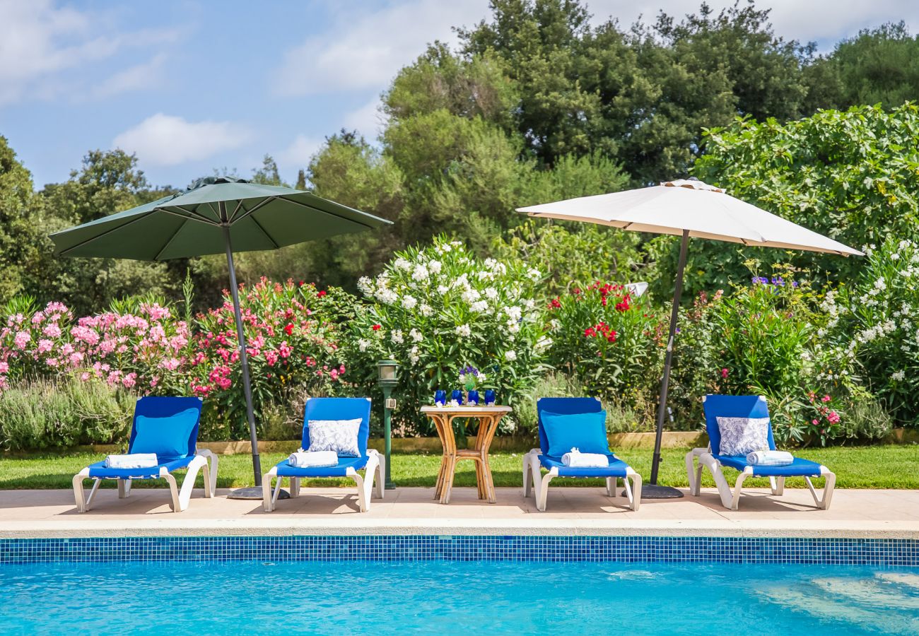 Country house in Arta - Rural finca pool Es Sementaret in Majorca