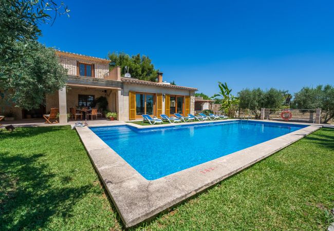 Country house in Inca - Mallorquin Finca piscina CA'S SOLLERICH en Mallorca