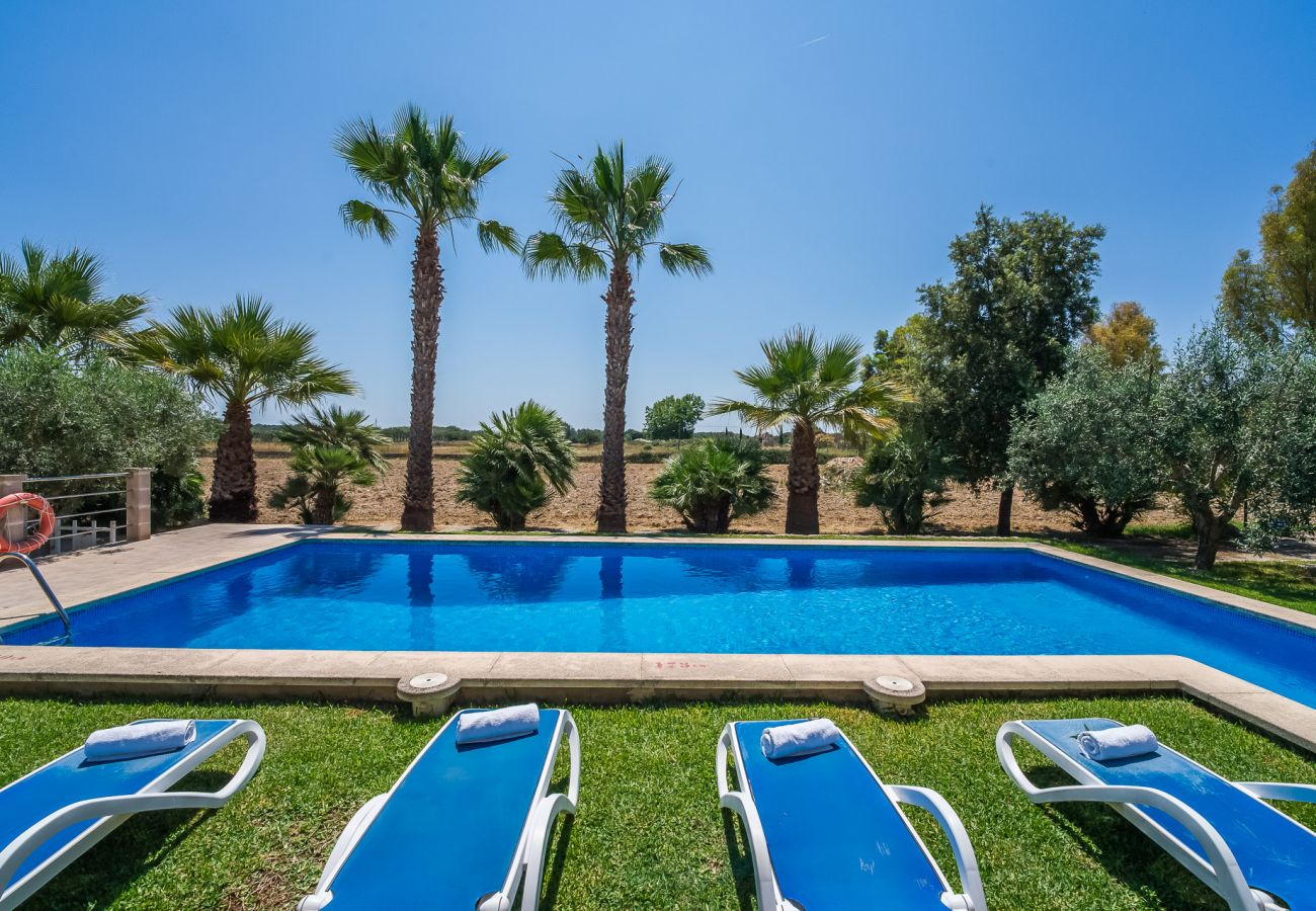Country house in Inca - Mallorquin Finca piscina CA'S SOLLERICH en Mallorca