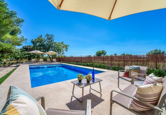 Country house in Binissalem - Finca with swimming pool Can Davero in Mallorca Country house in Binissalem - Finca with swimming pool Can Davero in Mallorca