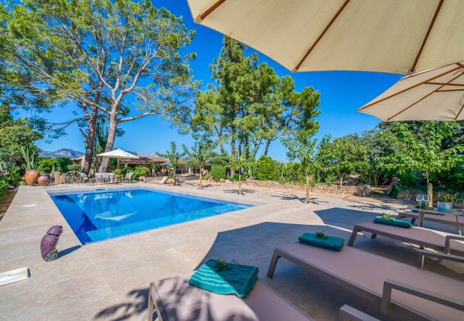 Country house in Binissalem - Finca with swimming pool Can Davero in Mallorca Country house in Binissalem - Finca with swimming pool Can Davero in Mallorca