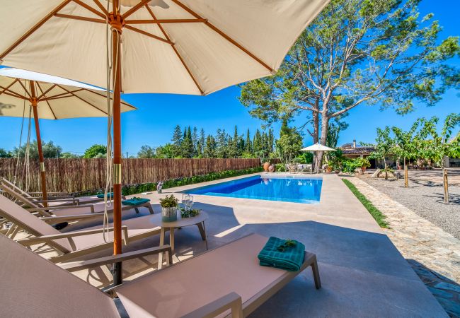 Country house in Binissalem - Finca with swimming pool Can Davero in Mallorca Country house in Binissalem - Finca with swimming pool Can Davero in Mallorca