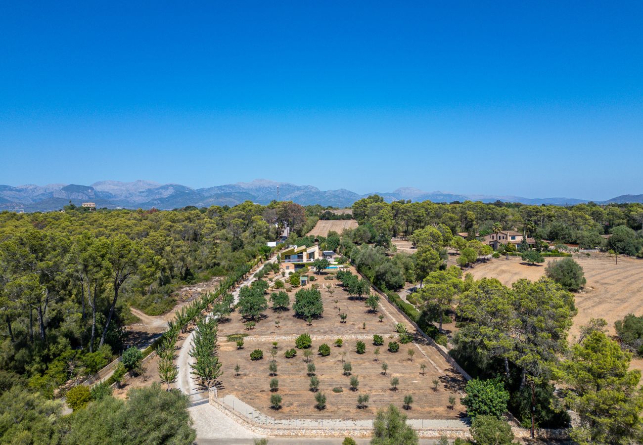 Country house in Sencelles - Finca with pool Villa Laiar in Mallorca