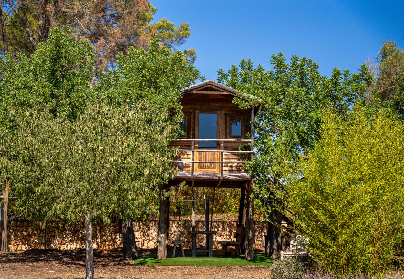 Country house in Sencelles - Finca with pool Villa Laiar in Mallorca