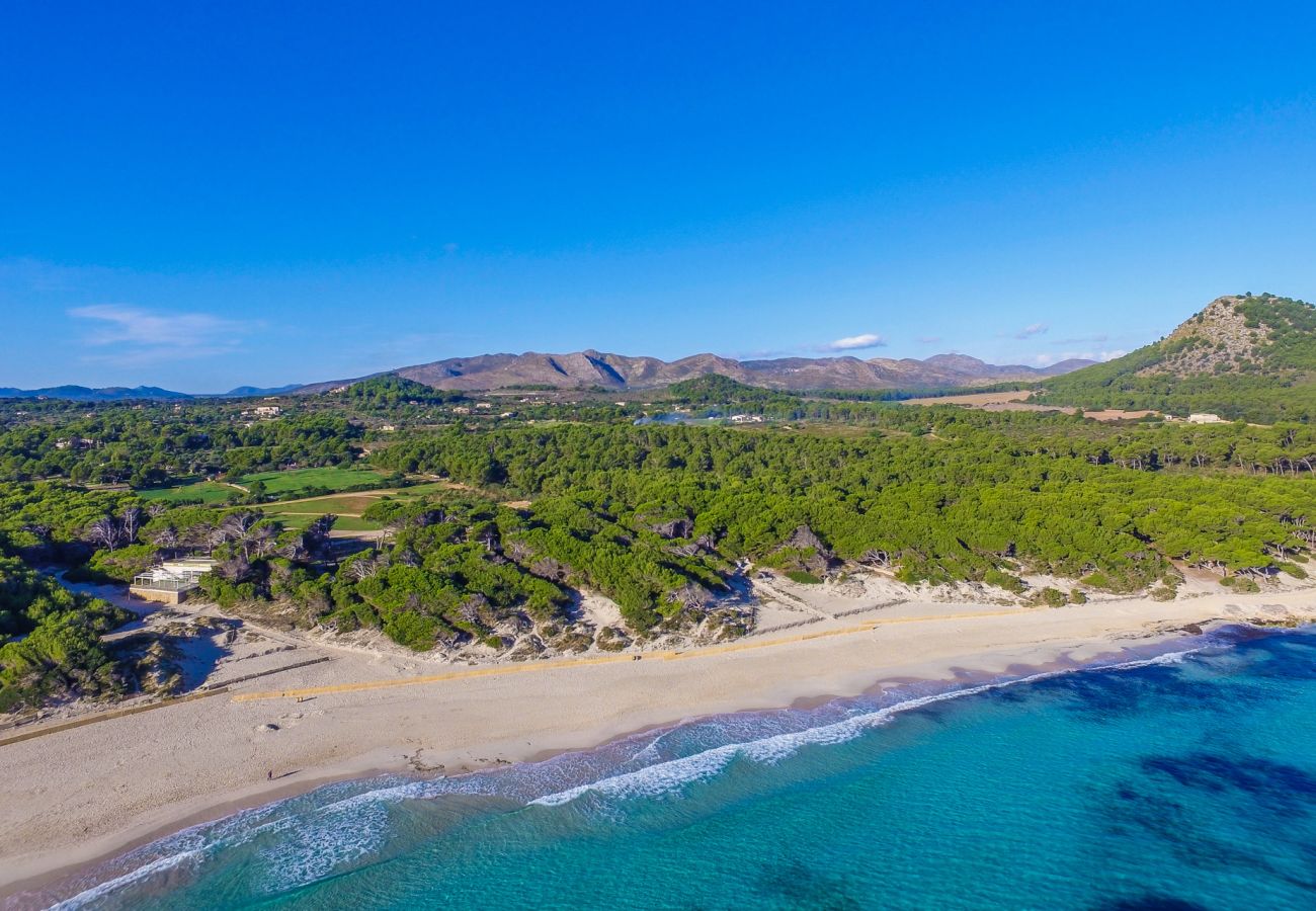Country house in Felanitx - Rural Finca in Mallorca Can Xim with swimming pool