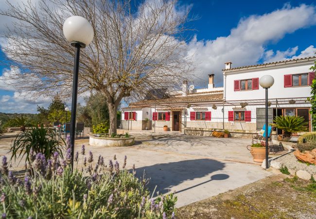 Country house in Lloret de Vistalegre -  Finca Ca Na Venta with pool Country house in Lloret de Vistalegre -  Finca Ca Na Venta with pool