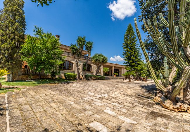 House in Costitx - Rustic Finca in Mallorca Son Tomasset with pool House in Costitx - Rustic Finca in Mallorca Son Tomasset with pool