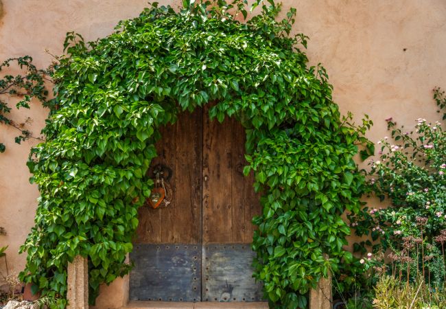 Country house in Algaida - Rural finca Can Lloret in Mallorca with pool Country house in Algaida - Rural finca Can Lloret in Mallorca with pool