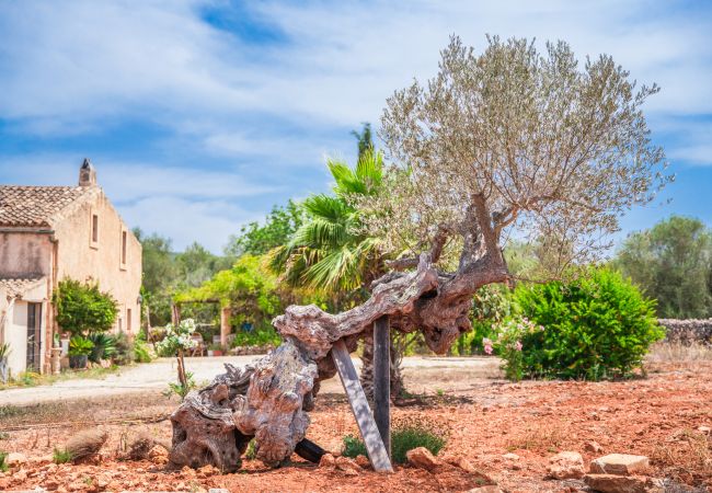 Country house in Algaida - Rural finca Can Lloret in Mallorca with pool Country house in Algaida - Rural finca Can Lloret in Mallorca with pool