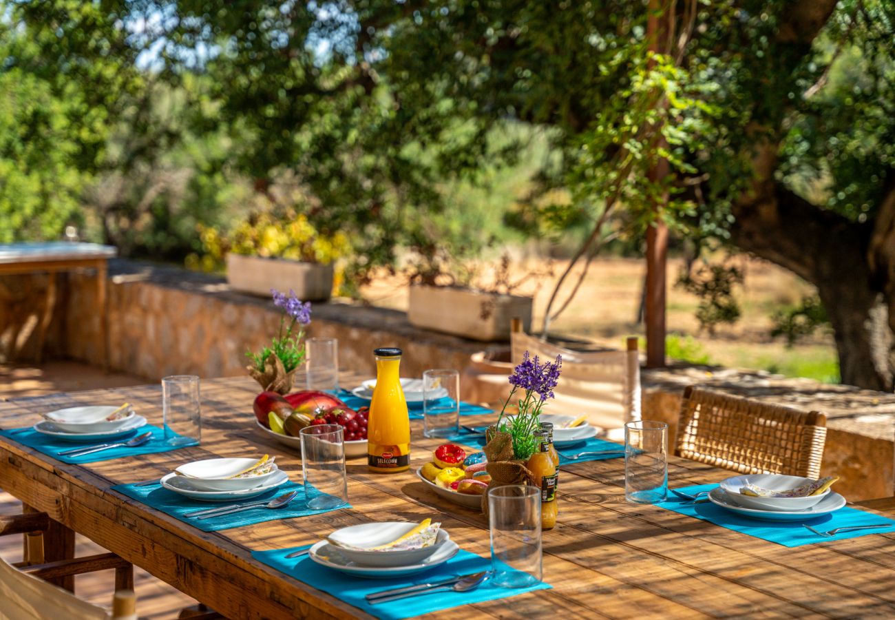 Country house in Selva - Rural finca S'Empaltada with pool in Mallorca