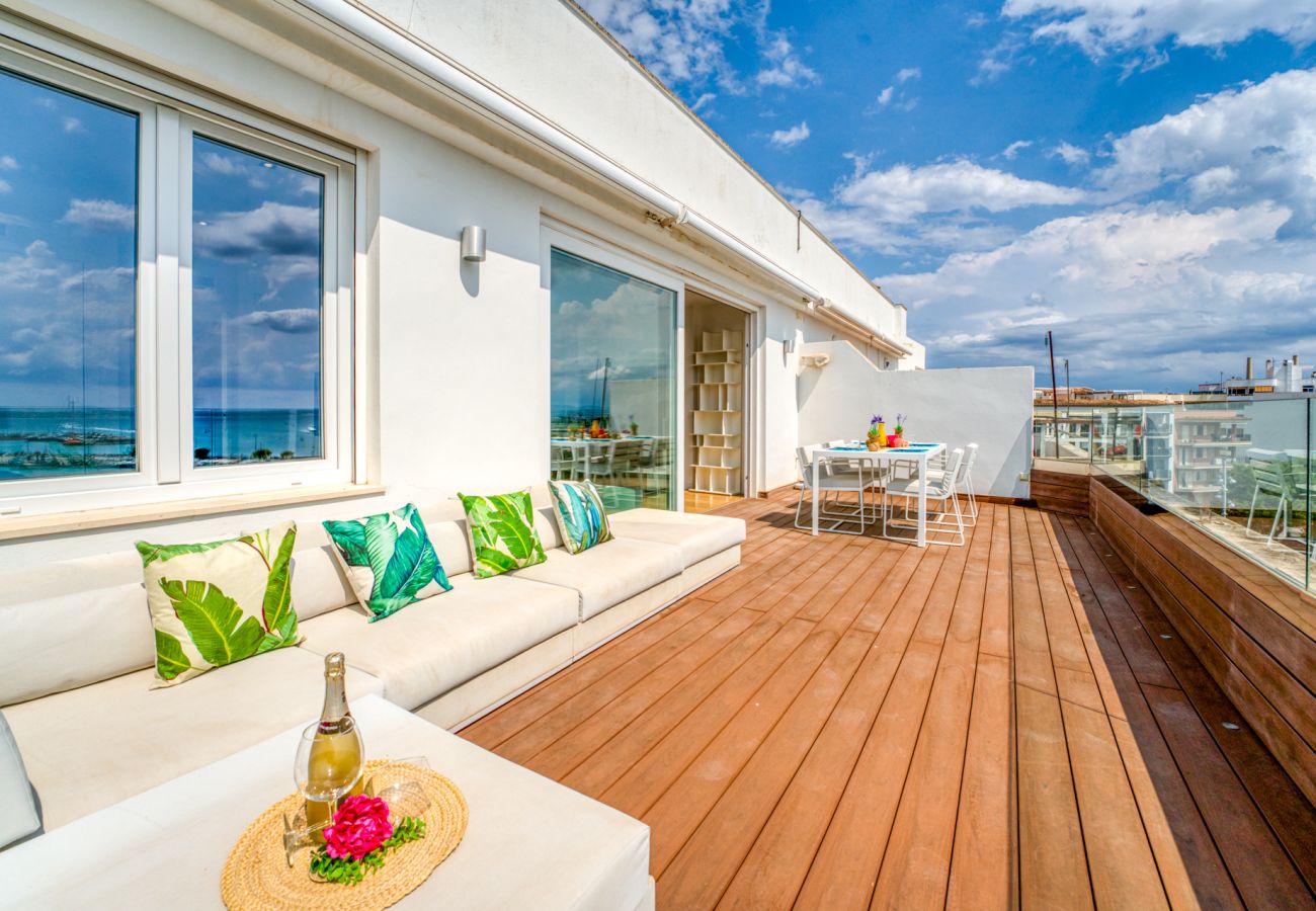 Apartment in Puerto de Alcudia - Blue Blue Apartment in front line of Alcudia harbor	