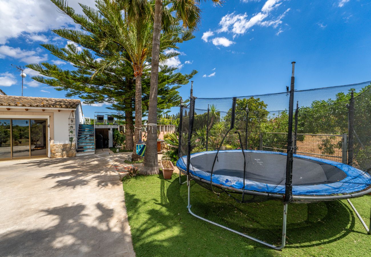 Country house in Llubi - Finca with pool Can Pintat in Mallorca
