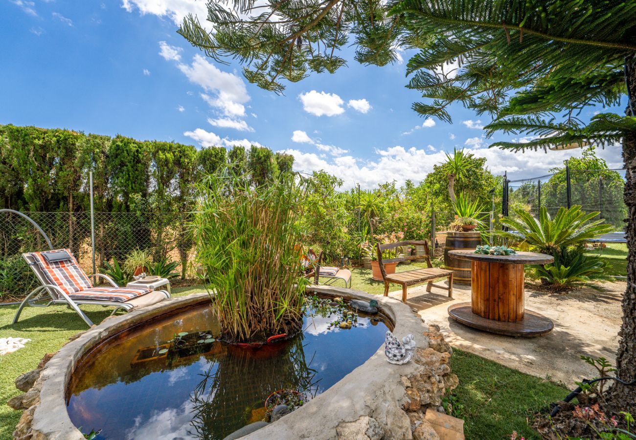 Country house in Llubi - Finca with pool Can Pintat in Mallorca