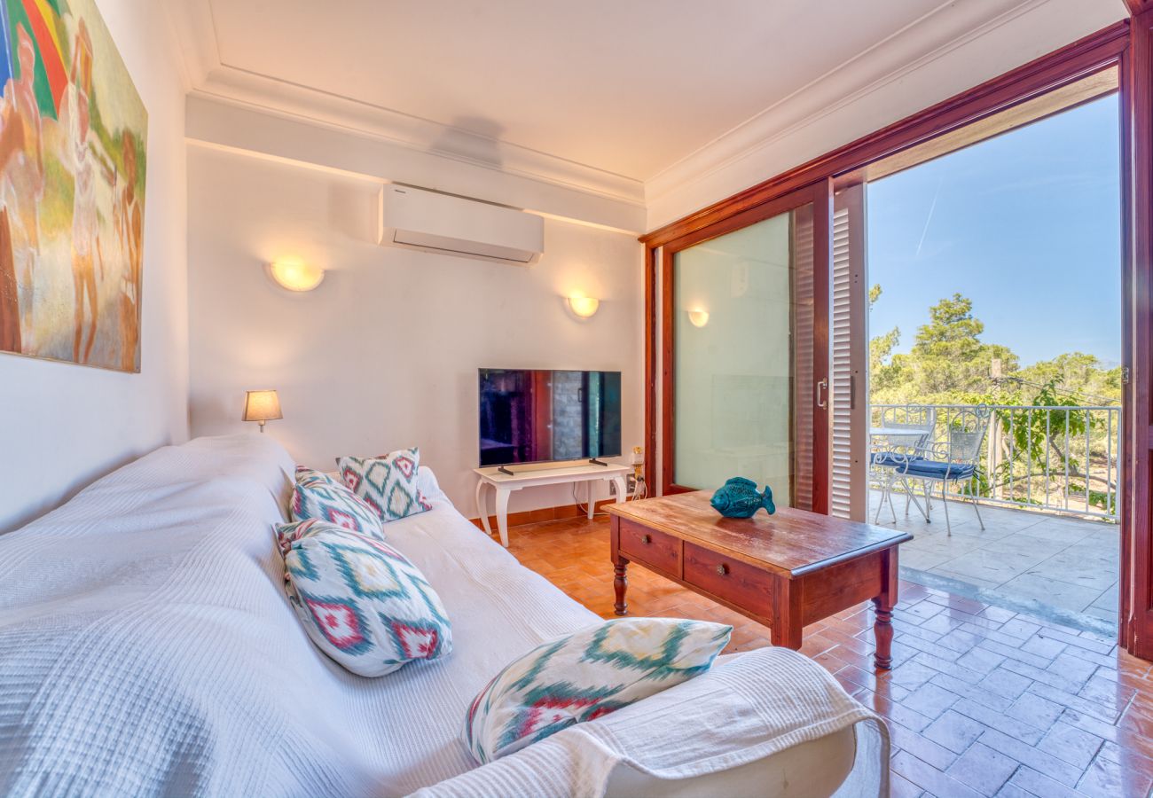 House in Can Picafort - House with pool Can Quiros Can Picafort