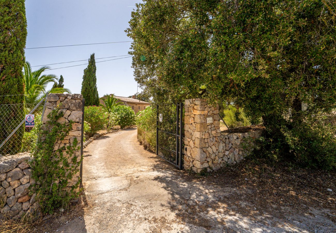 House in Manacor (Porto Cristo) - Finca with pool in Can Treupoc, Porto Cristo