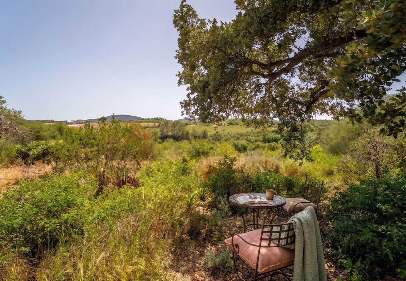 House in Manacor (Porto Cristo) - Finca with pool in Can Treupoc, Porto Cristo