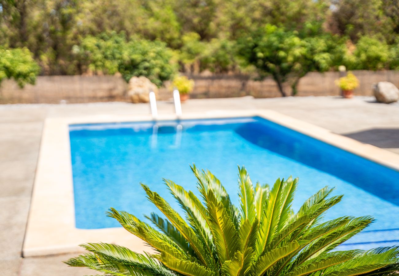 Chalet in Sa Pobla - Finca with pool Son Manyo 2 Petit in Sa Pobla