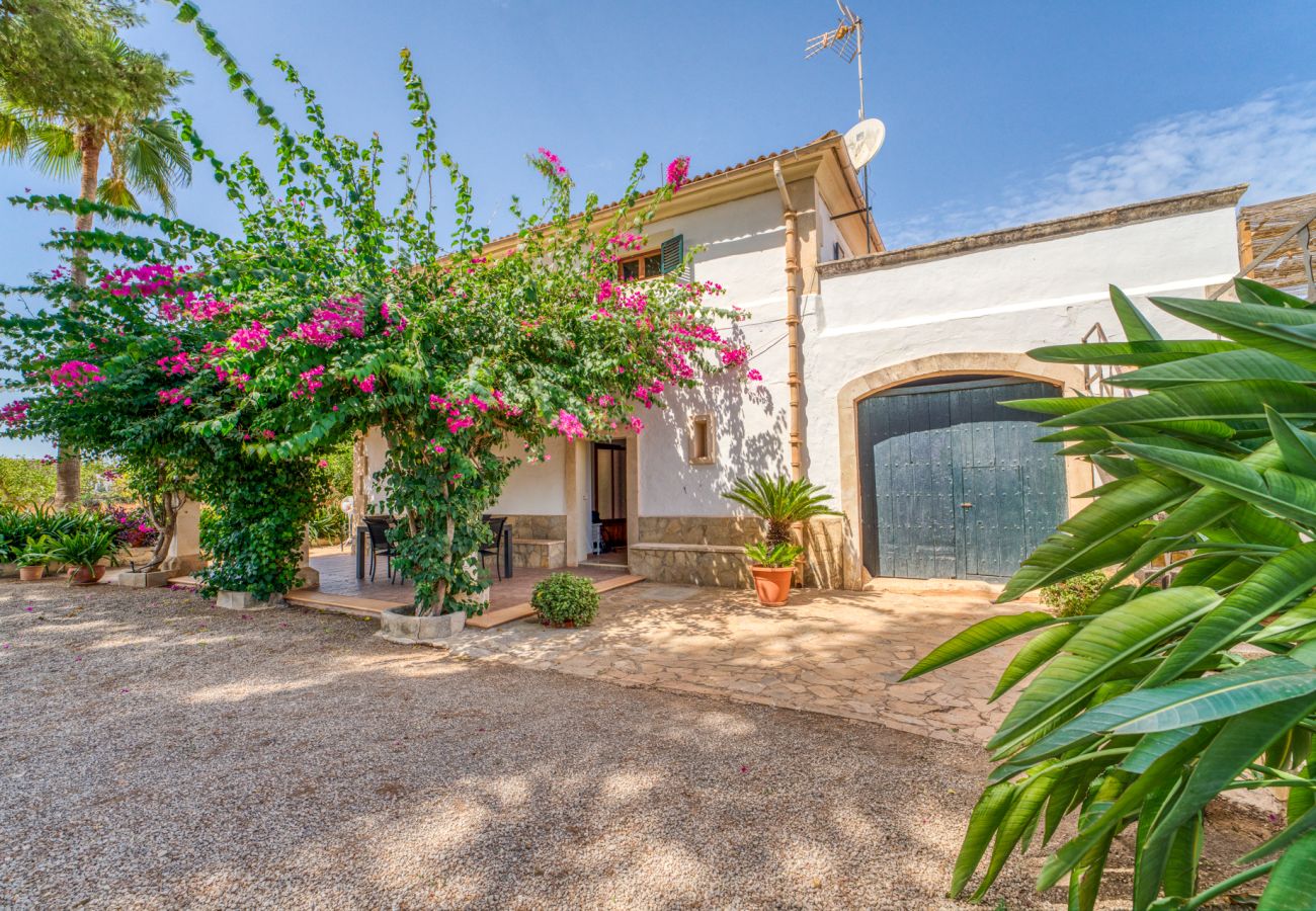 Country house in Sa Pobla - Finca with pool Son Manyo Gran I Sa Pobla