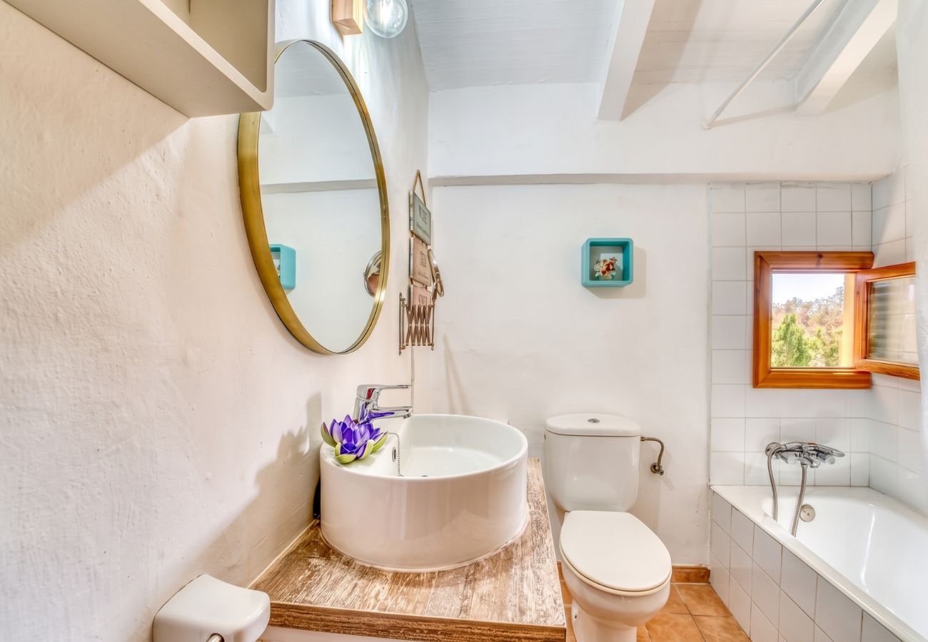 Country house in Sa Pobla - Finca with pool Son Manyo Gran I Sa Pobla